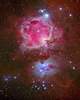 M42 Туманность ориона