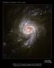 Галактика NGC 3310