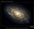 Галактика NGC 4414