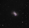 Галактика NGC 4449