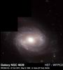 Галактика NGC 4639
