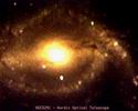 Галактика NGC 5291