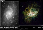 NGC 604 в галактике M33